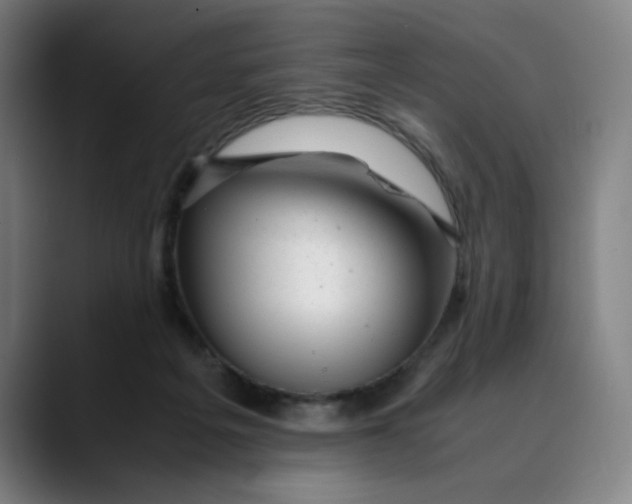 X0000089350217200707131537