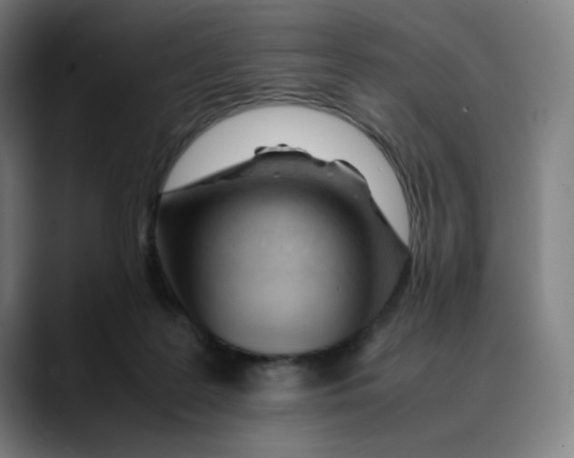 X0000089350219200707131537