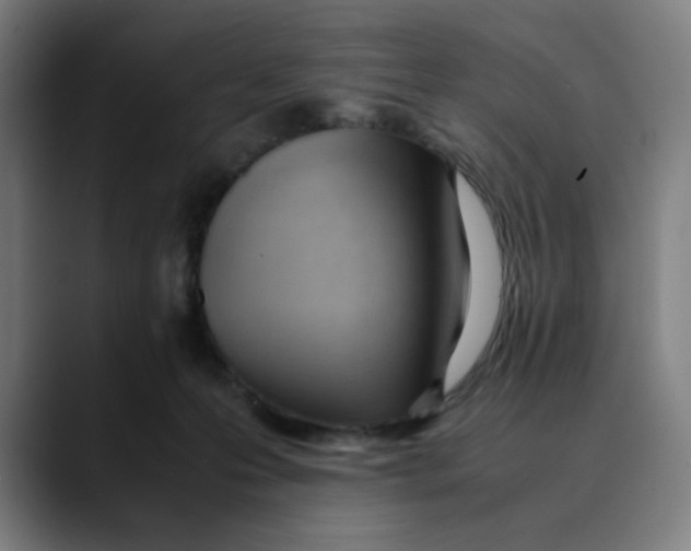 X0000089350223200707131537