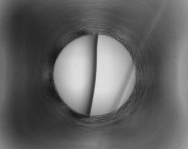 X0000089350225200707131537