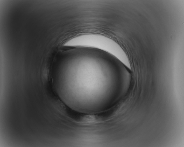 X0000089350227200707131537