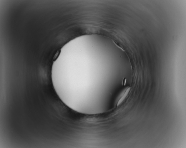 X0000089350228200707131537
