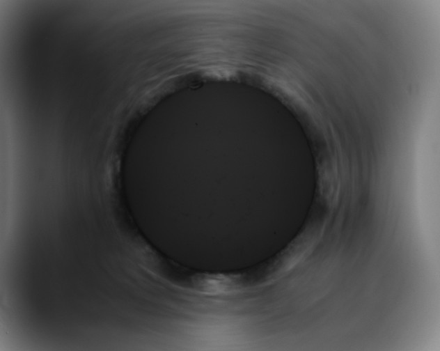 X0000089350229200707131537