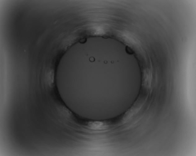X0000089350230200707131537