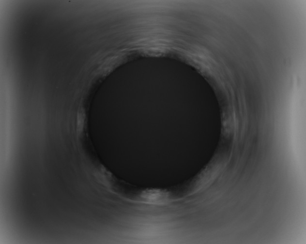 X0000089350231200707131537
