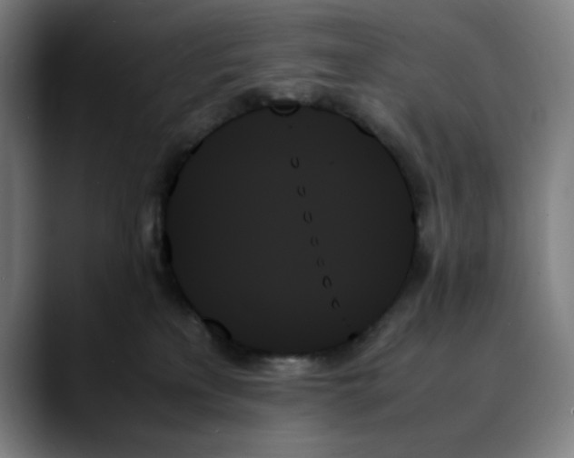 X0000089350233200707131537