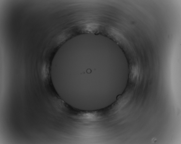 X0000089350236200707131536