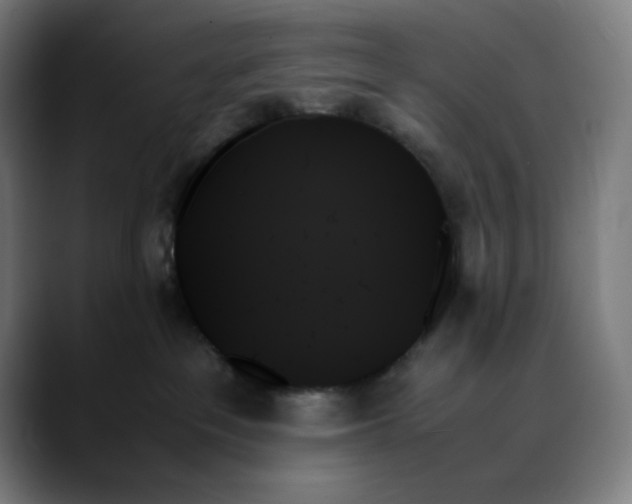 X0000089350237200707131536