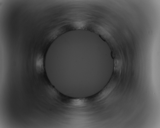 X0000089350238200707131536