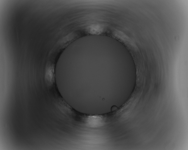 X0000089350240200707131536