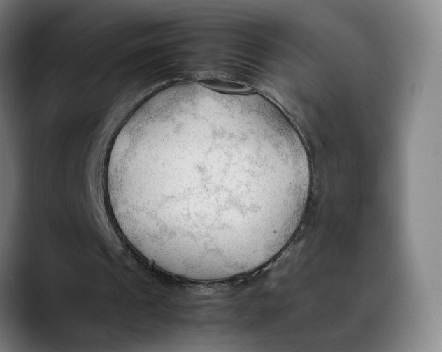 X0000089350241200707131536