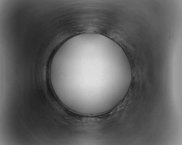 X0000089350242200707131536