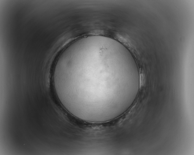 X0000089350243200707131536
