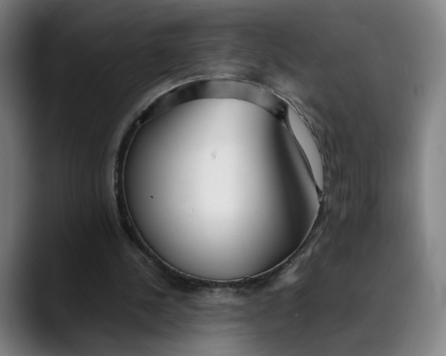 X0000089350244200707131536