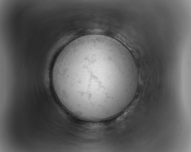 X0000089350245200707131536