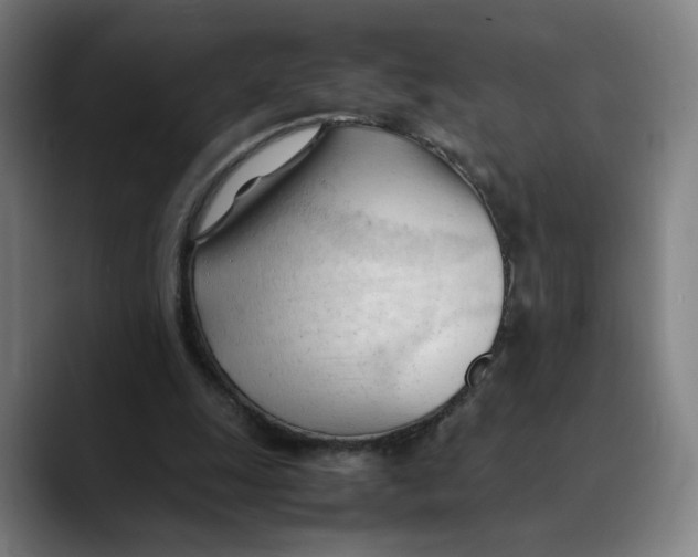 X0000089350247200707131536