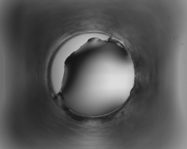 X0000089350248200707131536