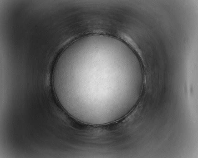 X0000089350249200707131536