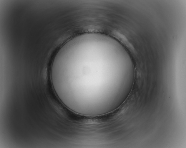 X0000089350250200707131536
