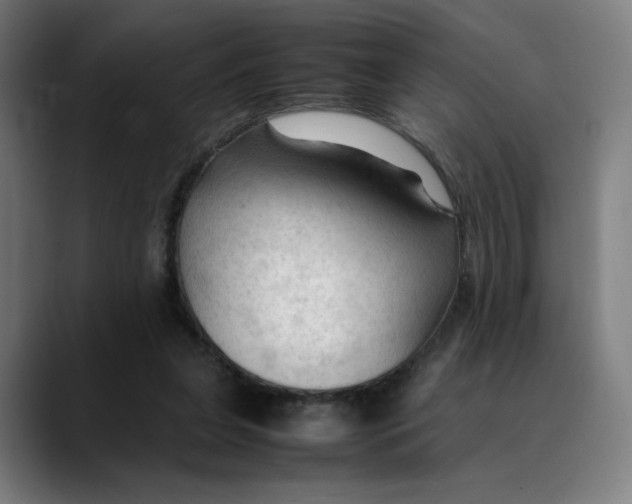 X0000089350255200707131536