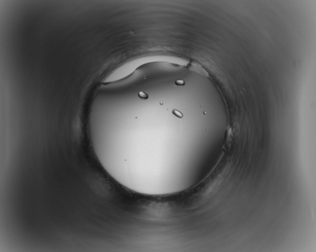 X0000089350256200707131536