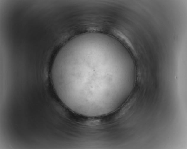X0000089350257200707131536