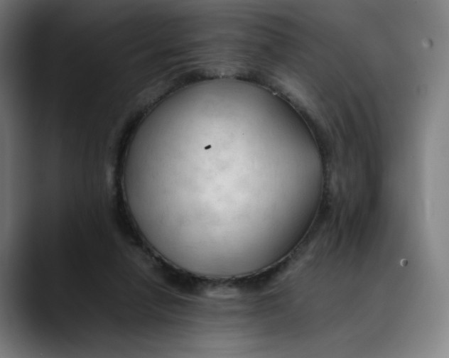 X0000089350258200707131536