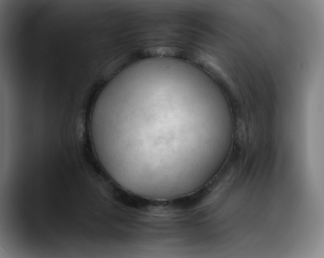 X0000089350259200707131536