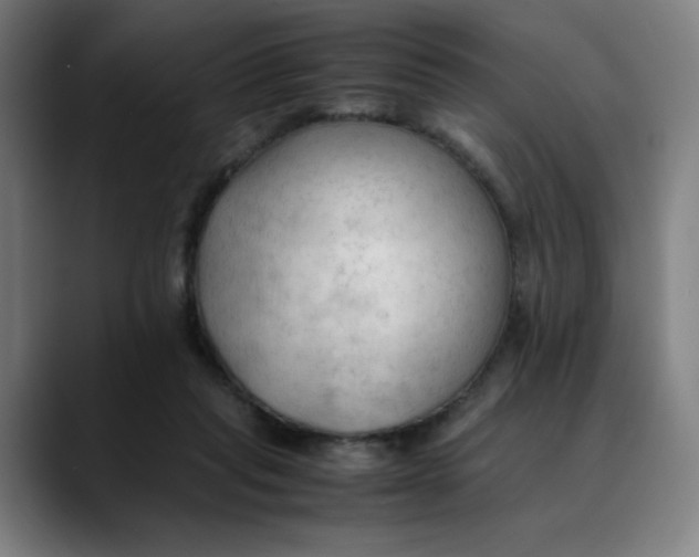 X0000089350261200707131536