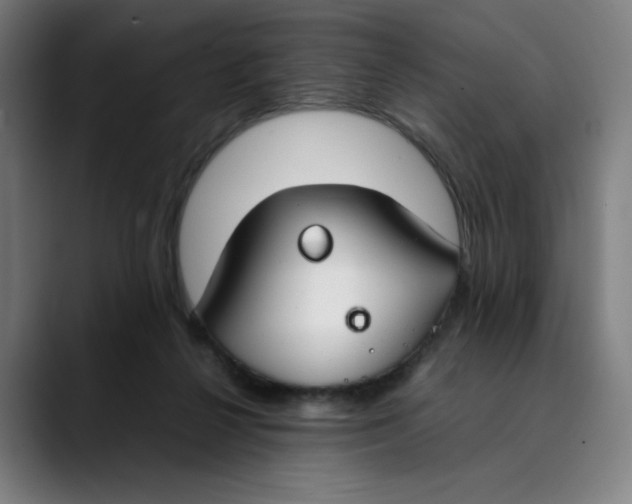 X0000089350264200707131536