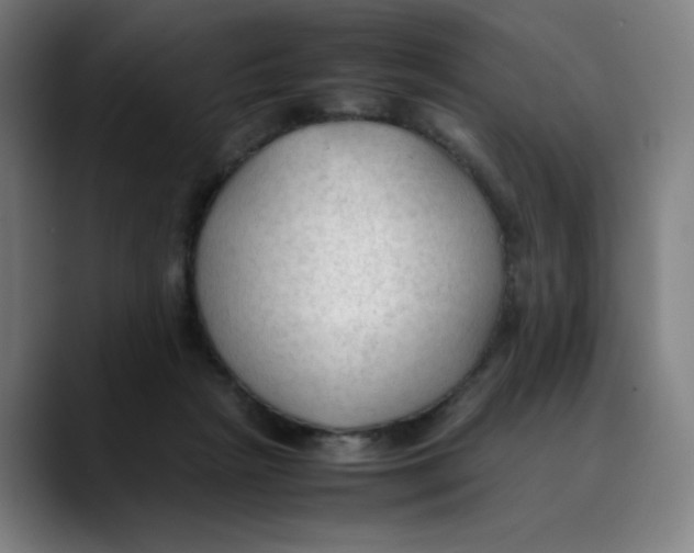 X0000089350265200707131536