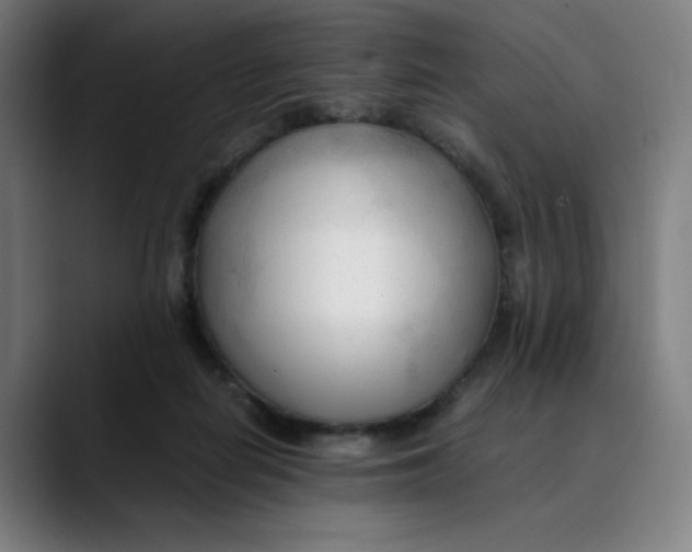 X0000089350266200707131536