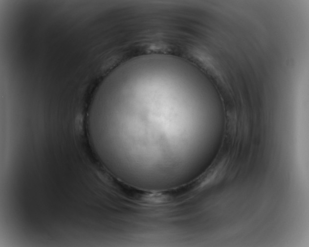 X0000089350269200707131536