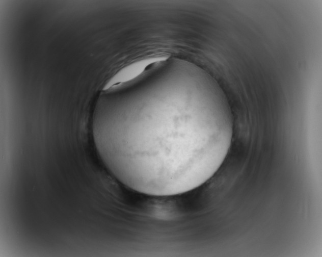 X0000089350275200707131536