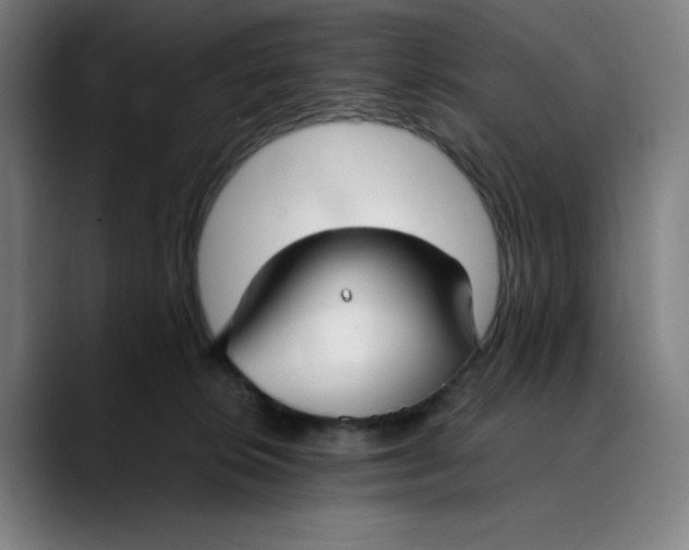 X0000089350276200707131536