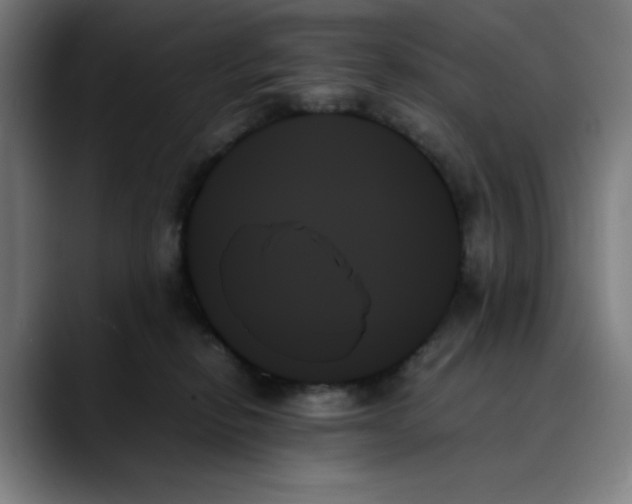 X0000089350278200707131536