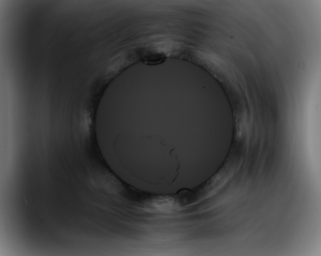 X0000089350279200707131536