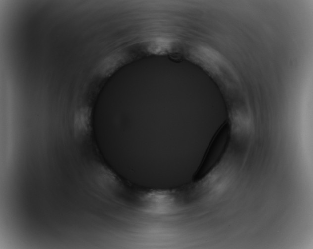 X0000089350280200707131536