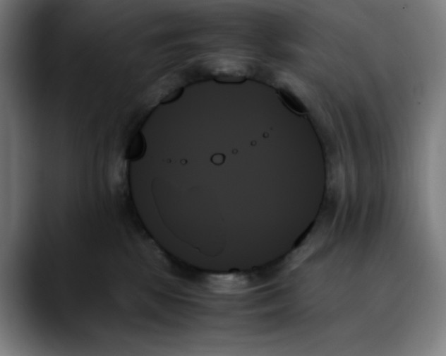 X0000089350281200707131536