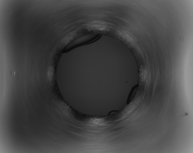 X0000089350283200707131536