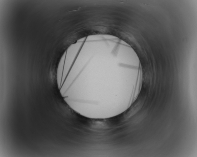 X0000089350285200707131536