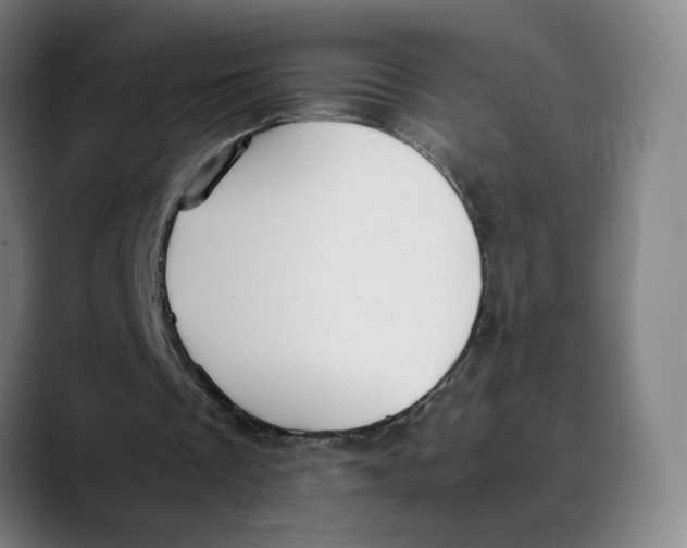 X0000089350289200707131536