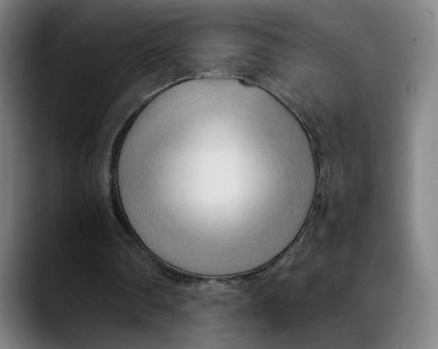 X0000089350290200707131536