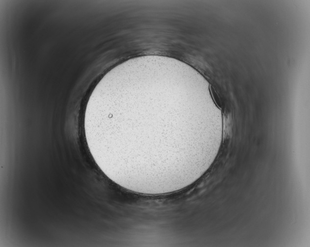 X0000089350291200707131536