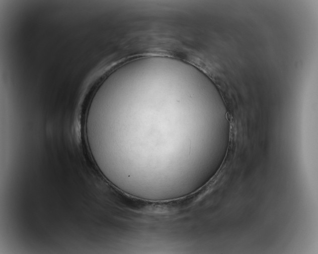 X0000089350294200707131536