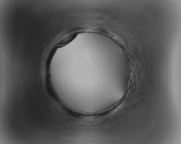 X0000089350295200707131536
