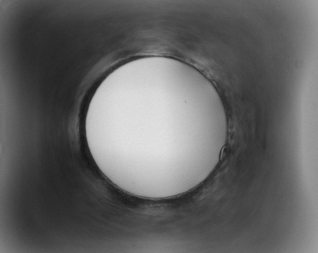 X0000089350296200707131536