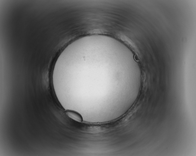 X0000089350298200707131536