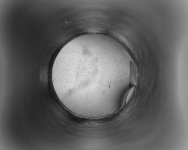 X0000089350299200707131536