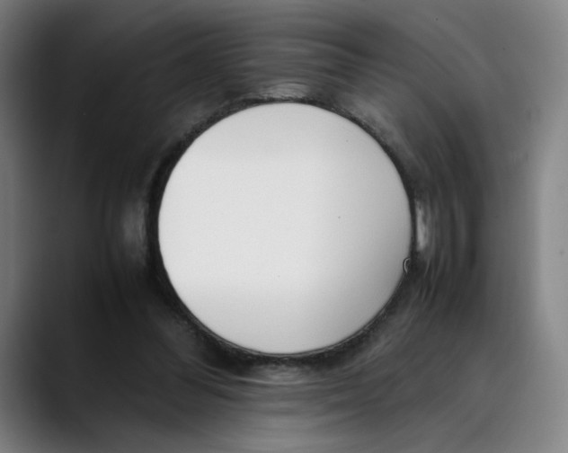 X0000089350300200707131536
